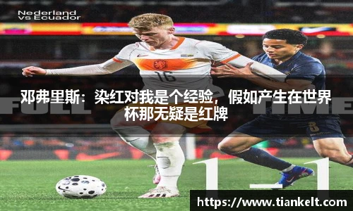 邓弗里斯：染红对我是个经验，假如产生在世界杯那无疑是红牌